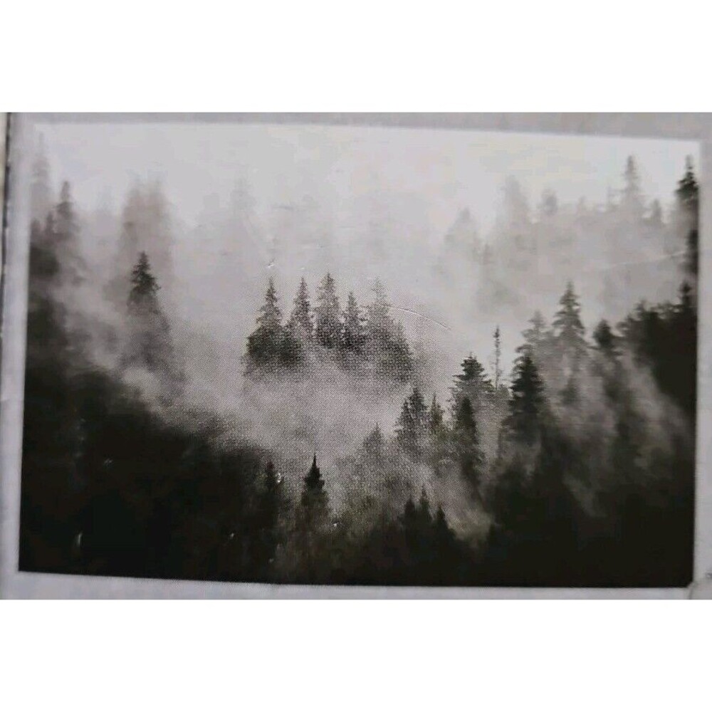 94.5” x 64” X-Large Self-Adhesive “MISTY FOREST“ Scene Wall Mural /Decor